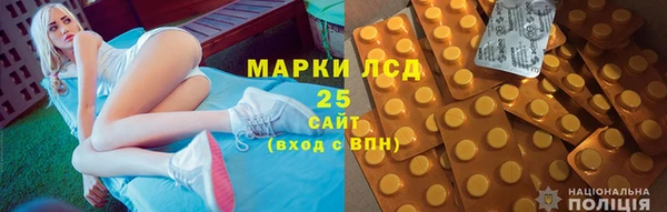 прущий лед Бородино