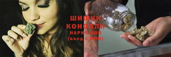 прущий лед Бородино