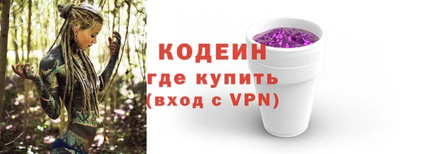 прущий лед Бородино