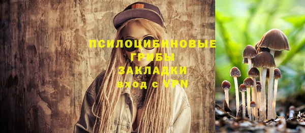 прущий лед Бородино