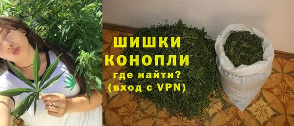 прущий лед Бородино
