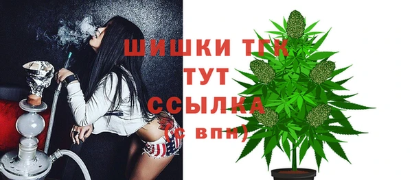 прущий лед Бородино