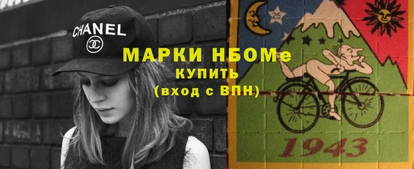 прущий лед Бородино