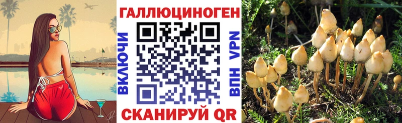 Псилоцибиновые грибы прущие грибы  Купить закладки  Южно-Сухокумск 